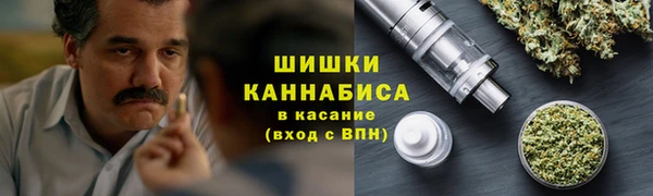 ешки Осинники